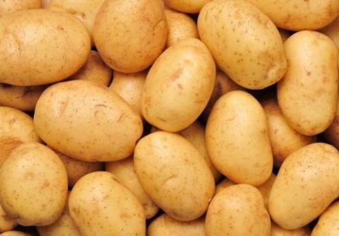 减肥可以吃土豆吗